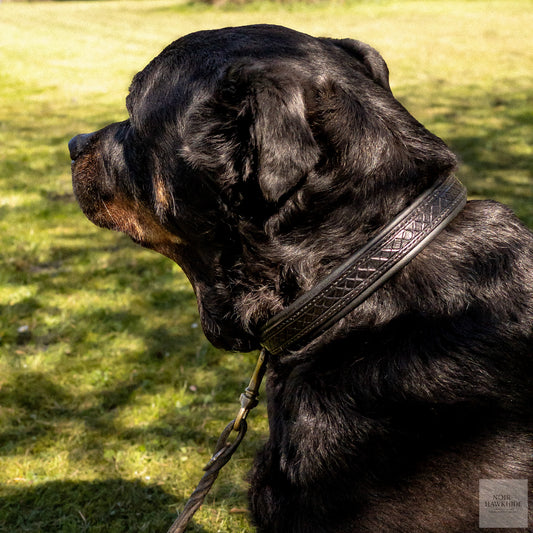 Hand-embossed dog collar