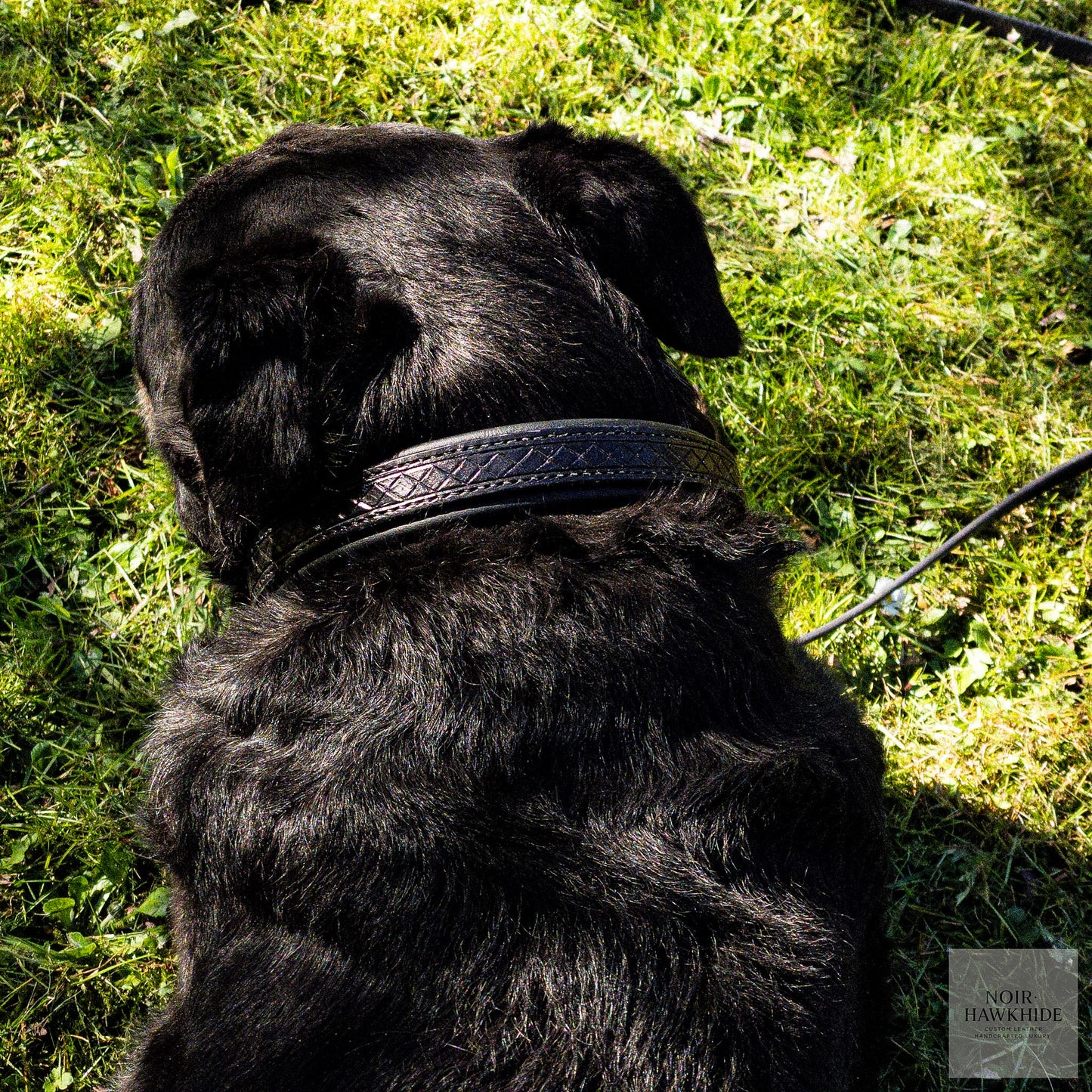 Håndpræget hundehalsbånd